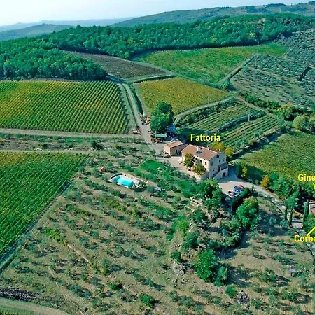 Ginestra Apartment, Into The Vineyard