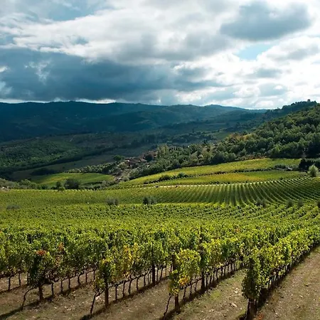 Ginestra Apartment, Into The Vineyard *